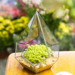 Handmade Silver Hanging Teardrop Shape Geometric Glass Terrarium For Succulent Moss Fern 13 Handmade Silver Hanging Teardrop Shape Geometric Glass Terrarium For Succulent Moss Fern -Glass Plant Store product image 449459858