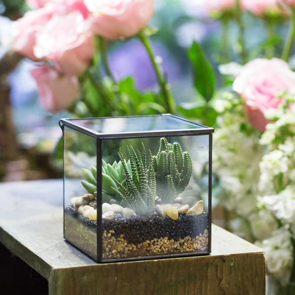 Handmade Square Glass Geometric Terrarium With Lid For Fern Moss Succulents Cacti 12 Handmade Square Glass Geometric Terrarium With Lid For Fern Moss Succulents Cacti - Image 12