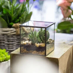 Handmade Square Glass Geometric Terrarium With Lid For Fern Moss Succulents Cacti 15 Handmade Square Glass Geometric Terrarium With Lid For Fern Moss Succulents Cacti -Glass Plant Store product image 456312615