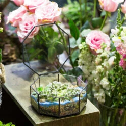 Handmade Flat Octagon Glass Geometric Terrarium For Succulents Fern Moss -Glass Plant Store product image 462967458