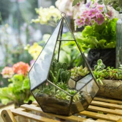 Handmade Black Hanging Teardrop Shape Glass Geometric Terrarium For Succulents Cacti 25 Handmade Black Hanging Teardrop Shape Glass Geometric Terrarium For Succulents Cacti -Glass Plant Store product image 480627794