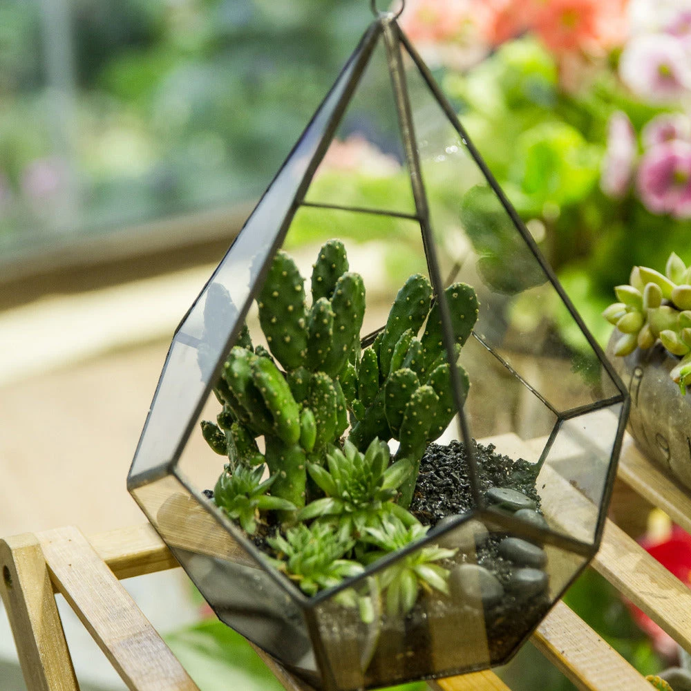 Handmade Black Hanging Teardrop Shape Glass Geometric Terrarium For Succulents Cacti 4 Handmade Black Hanging Teardrop Shape Glass Geometric Terrarium For Succulents Cacti - Image 4