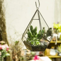 Handmade Artistic Hanging Glass Teardrop Diamond Geometric Terrarium With Loop For Succulent Moss 11 Handmade Artistic Hanging Glass Teardrop Diamond Geometric Terrarium With Loop For Succulent Moss -Glass Plant Store product image 490452742