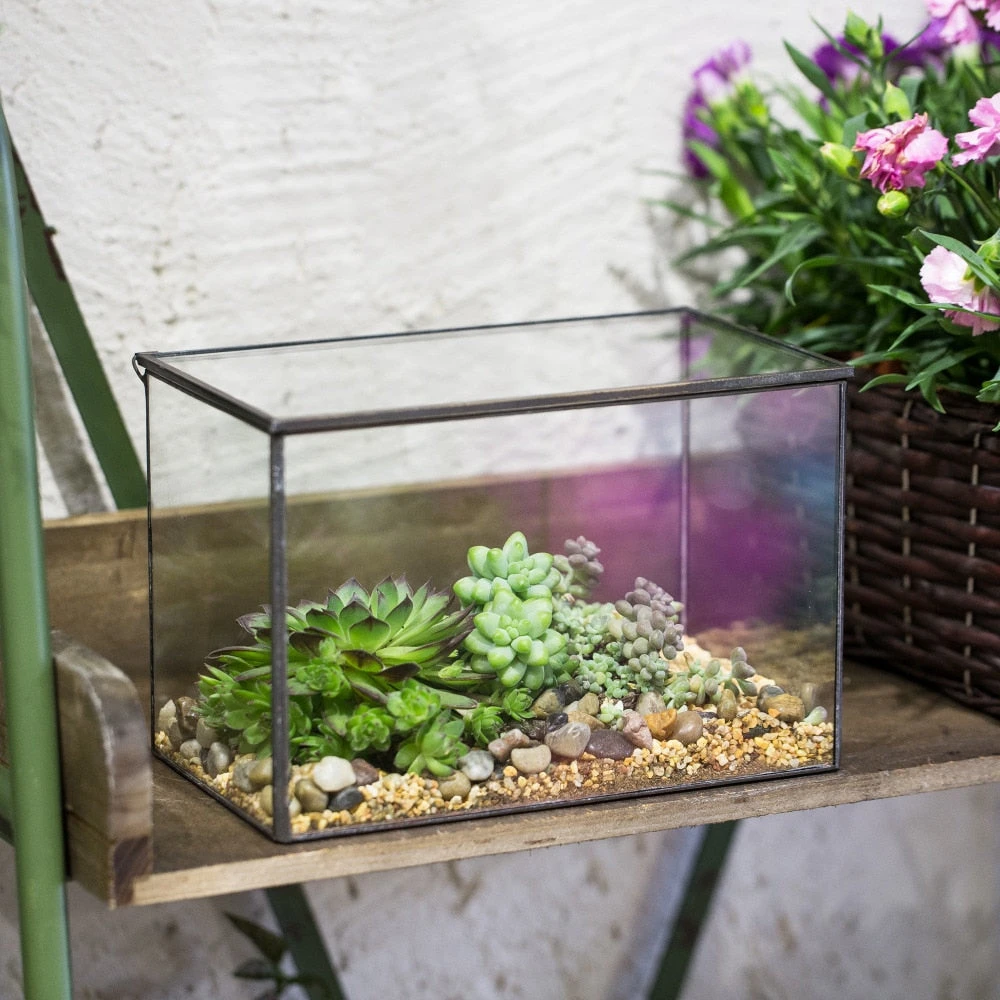 Handmade Rectangle Clear Glass Geometric Terrarium Box With Lid For Succulents Micro Landscape 2 Handmade Rectangle Clear Glass Geometric Terrarium Box With Lid For Succulents Micro Landscape - Image 2