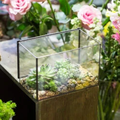 Handmade Rectangle Clear Glass Geometric Terrarium Box With Lid For Succulents Micro Landscape 22 Handmade Rectangle Clear Glass Geometric Terrarium Box With Lid For Succulents Micro Landscape -Glass Plant Store product image 497054568