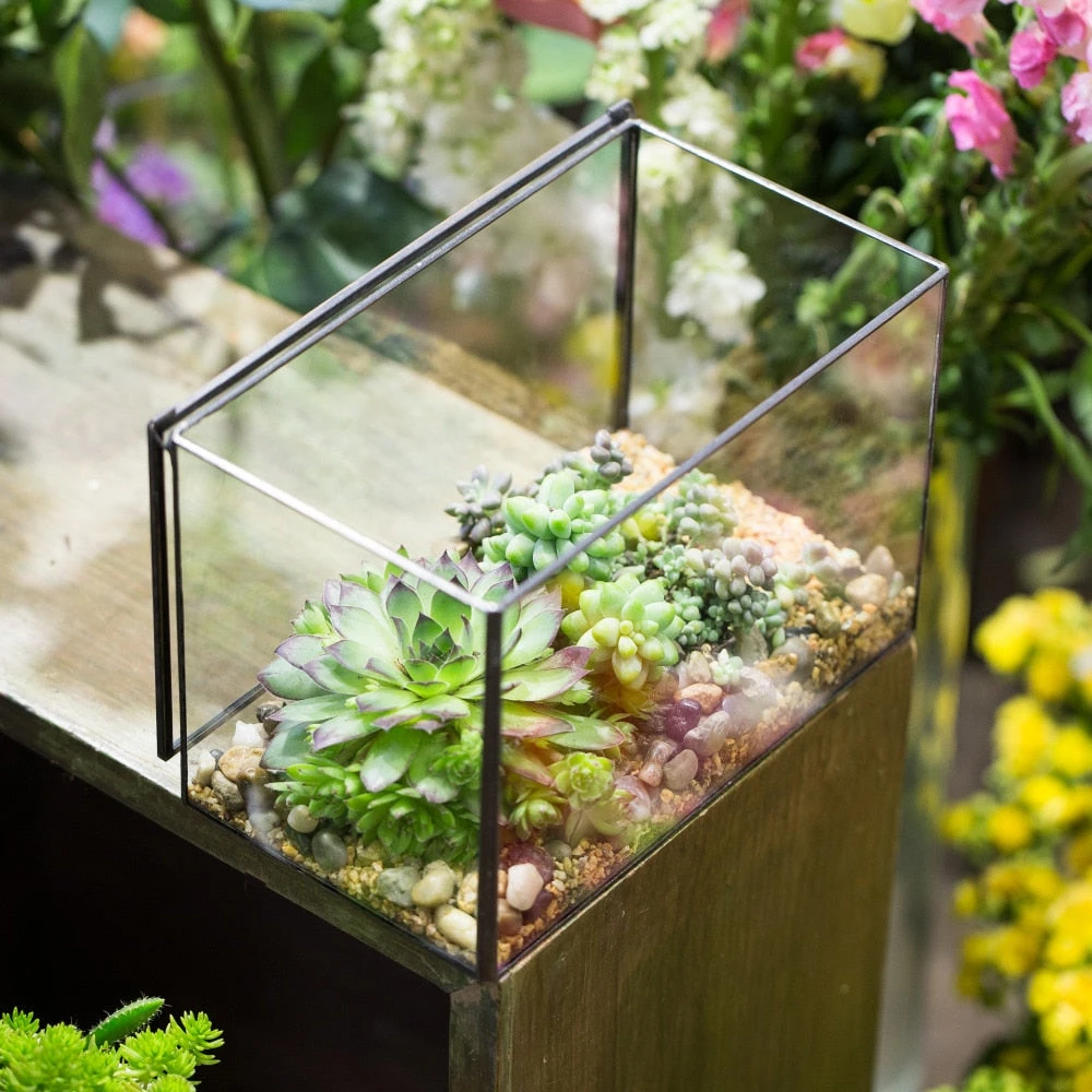Handmade Rectangle Clear Glass Geometric Terrarium Box With Lid For Succulents Micro Landscape 8 Handmade Rectangle Clear Glass Geometric Terrarium Box With Lid For Succulents Micro Landscape - Image 8
