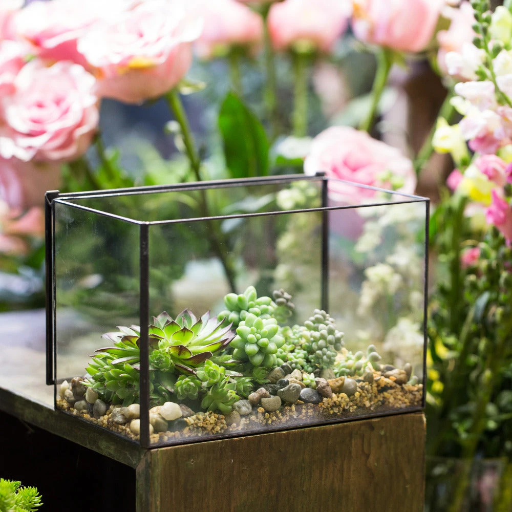 Handmade Rectangle Clear Glass Geometric Terrarium Box With Lid For Succulents Micro Landscape 3 Handmade Rectangle Clear Glass Geometric Terrarium Box With Lid For Succulents Micro Landscape - Image 3