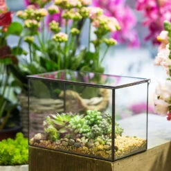 Handmade Rectangle Clear Glass Geometric Terrarium Box With Lid For Succulents Micro Landscape 16 Handmade Rectangle Clear Glass Geometric Terrarium Box With Lid For Succulents Micro Landscape -Glass Plant Store product image 497054586