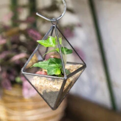 Handmade Small Black Hanging Class Geometric Glass Terrarium For Air Plants Moss 11 Handmade Small Black Hanging Class Geometric Glass Terrarium For Air Plants Moss -Glass Plant Store product image 499872127