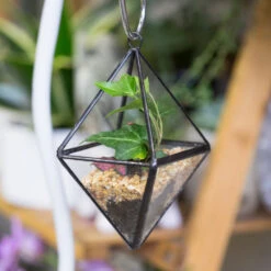 Handmade Small Black Hanging Class Geometric Glass Terrarium For Air Plants Moss 12 Handmade Small Black Hanging Class Geometric Glass Terrarium For Air Plants Moss -Glass Plant Store product image 499872129