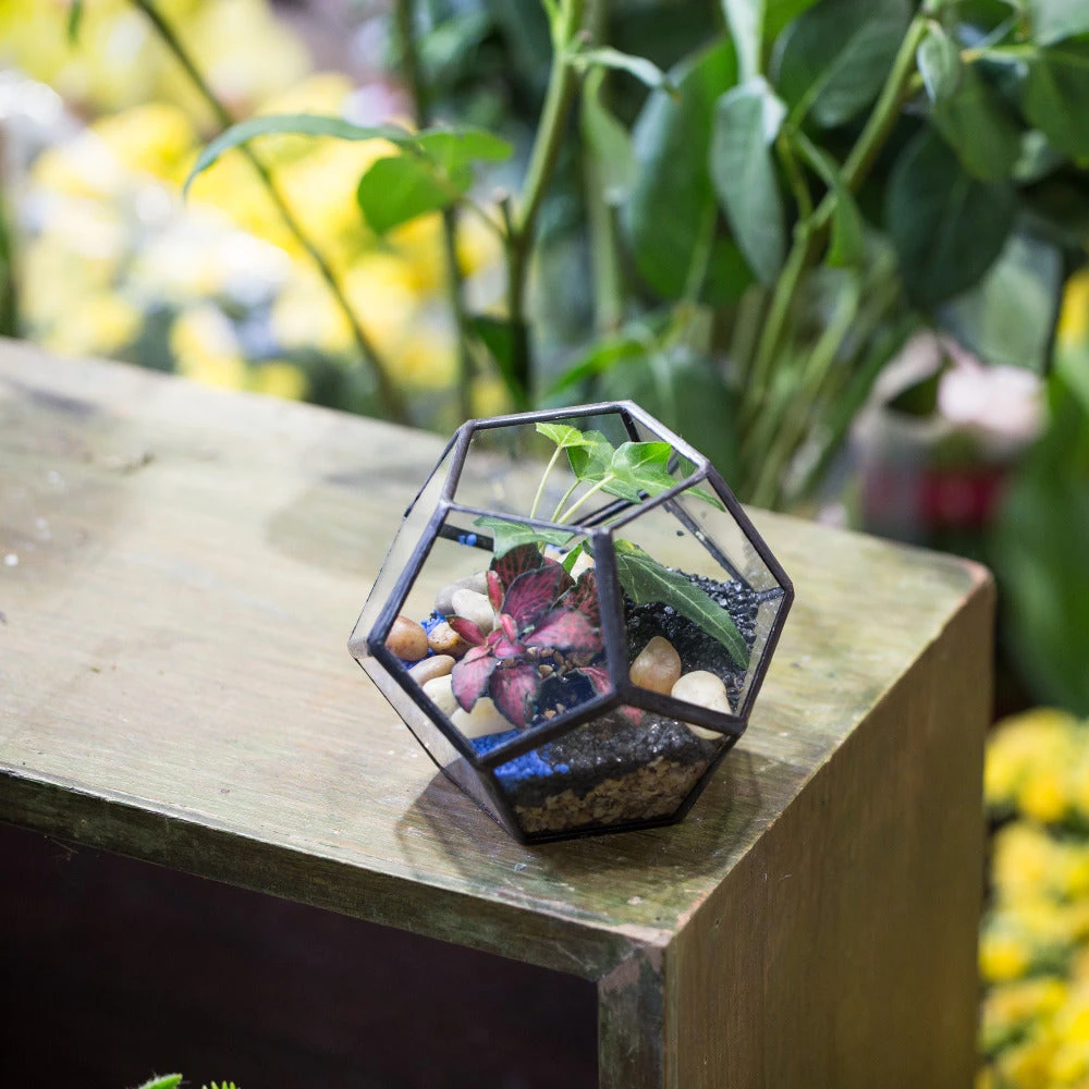 Handmade Mini Black Pentagon Glass Geometric Terrarium For Ring Box Moss 6 Handmade Mini Black Pentagon Glass Geometric Terrarium For Ring Box Moss - Image 6