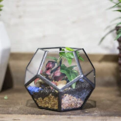 Handmade Mini Black Pentagon Glass Geometric Terrarium For Ring Box Moss 15 Handmade Mini Black Pentagon Glass Geometric Terrarium For Ring Box Moss -Glass Plant Store product image 499881925