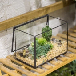 Handmade Rectangle Clear Glass Geometric Terrarium Box With Lid For Succulents Micro Landscape 23 Handmade Rectangle Clear Glass Geometric Terrarium Box With Lid For Succulents Micro Landscape -Glass Plant Store product image 505152282