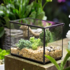 Handmade Rectangle Clear Glass Geometric Terrarium Box With Lid For Succulents Micro Landscape 18 Handmade Rectangle Clear Glass Geometric Terrarium Box With Lid For Succulents Micro Landscape -Glass Plant Store product image 505152284
