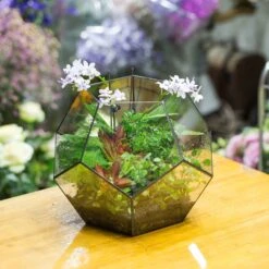 Handmade Extra Large Large Pentagon Glass Geometric Terrarium For Succulents Fern Moss Airplants 26 Handmade Extra Large Large Pentagon Glass Geometric Terrarium For Succulents Fern Moss Airplants -Glass Plant Store product image 534652727