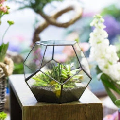 Handmade Tabletop Polyhedron Glass Geometric Terrarium For Succulent Fern Moss Air Plant -Glass Plant Store product image 540299078
