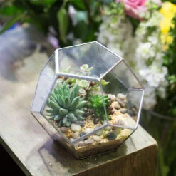 Handmade Tabletop Polyhedron Glass Geometric Terrarium For Succulent Fern Moss Air Plant -Glass Plant Store product image 540299080