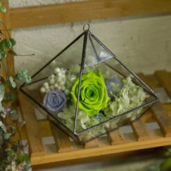 Handmade Hanging Glass Geometric Plant Container Terrariumfor Succulent Planter Fern Moss -Glass Plant Store product image 550613357