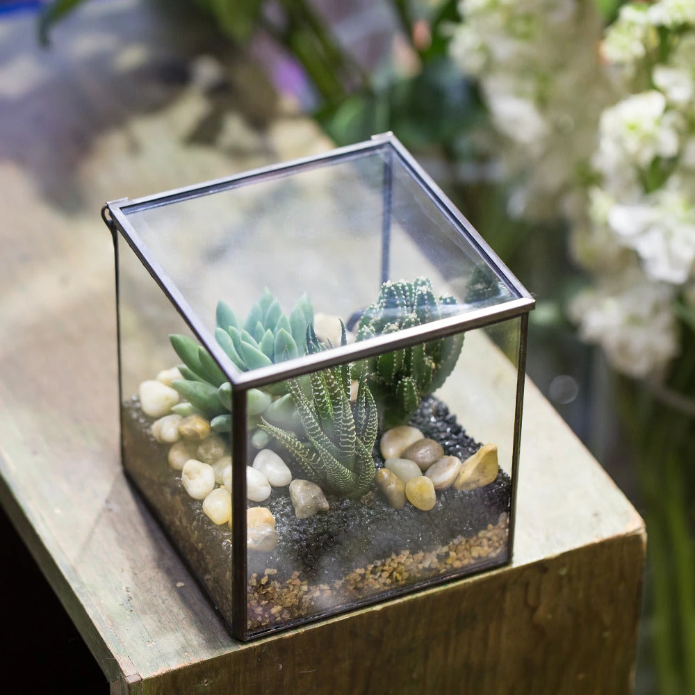 Handmade Square Glass Geometric Terrarium Box With Lid For Succulents Fern Moss 8 Handmade Square Glass Geometric Terrarium Box With Lid For Succulents Fern Moss - Image 8