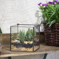 Handmade Square Glass Geometric Terrarium Box With Lid For Succulents Fern Moss 14 Handmade Square Glass Geometric Terrarium Box With Lid For Succulents Fern Moss -Glass Plant Store product image 557154701