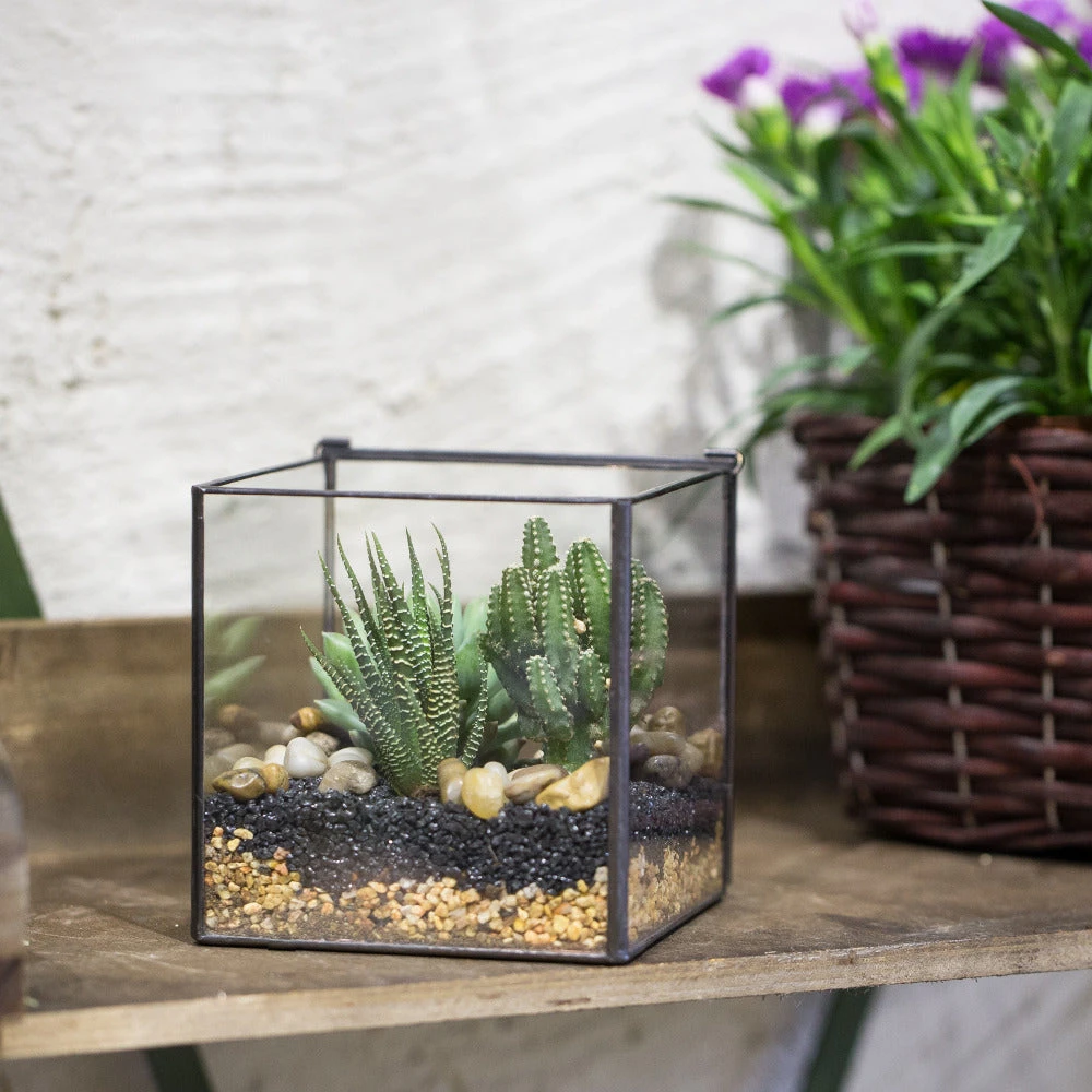Handmade Square Glass Geometric Terrarium Box With Lid For Succulents Fern Moss 4 Handmade Square Glass Geometric Terrarium Box With Lid For Succulents Fern Moss - Image 4