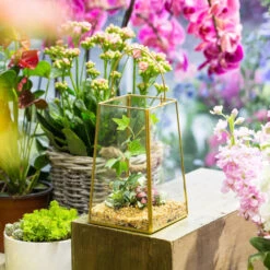 Handmade Copper Gold Echelon Geometric Glass Terrarium Hanging Wall Holder Lantern With Handle -Glass Plant Store product image 557798862