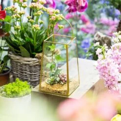 Handmade Copper Gold Echelon Geometric Glass Terrarium Hanging Wall Holder Lantern With Handle -Glass Plant Store product image 557798863