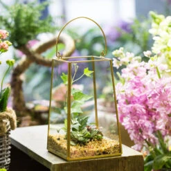 Handmade Copper Gold Echelon Geometric Glass Terrarium Hanging Wall Holder Lantern With Handle -Glass Plant Store product image 557798864