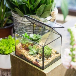 Handmade Black House Shape Glass Geometric Terrarium Wth Lid For Succulent Fern Moss Airplants -Glass Plant Store product image 564595370