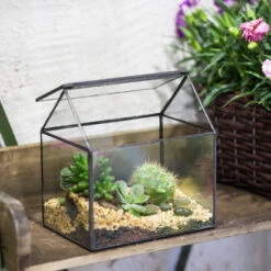 Handmade Black House Shape Glass Geometric Terrarium Wth Lid For Succulent Fern Moss Airplants -Glass Plant Store product image 564595371