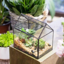 Handmade Black House Shape Glass Geometric Terrarium Wth Lid For Succulent Fern Moss Airplants -Glass Plant Store product image 564595373