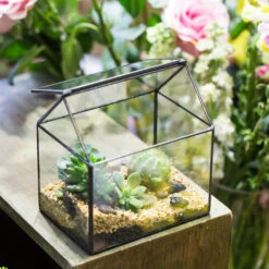 Handmade Black House Shape Glass Geometric Terrarium Wth Lid For Succulent Fern Moss Airplants -Glass Plant Store product image 564595374