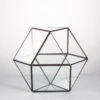 Handmade Glass Geometric Flower Terrarium Pot For Succulents Moss Fern Micro Landscape