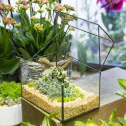 Handmade House Shape Glass Black Geometric Terrarium With Lid For Succulent Moss Airplants Cacti 18 Handmade House Shape Glass Black Geometric Terrarium With Lid For Succulent Moss Airplants Cacti -Glass Plant Store product image 572123478