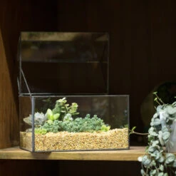 Handmade House Shape Glass Black Geometric Terrarium With Lid For Succulent Moss Airplants Cacti 16 Handmade House Shape Glass Black Geometric Terrarium With Lid For Succulent Moss Airplants Cacti -Glass Plant Store product image 572123488