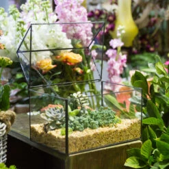 Handmade House Shape Glass Black Geometric Terrarium With Lid For Succulent Moss Airplants Cacti 22 Handmade House Shape Glass Black Geometric Terrarium With Lid For Succulent Moss Airplants Cacti -Glass Plant Store product image 572123490