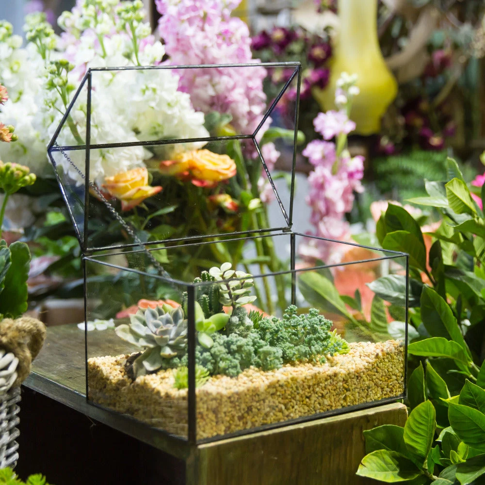 Handmade House Shape Glass Black Geometric Terrarium With Lid For Succulent Moss Airplants Cacti 11 Handmade House Shape Glass Black Geometric Terrarium With Lid For Succulent Moss Airplants Cacti - Image 11