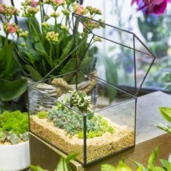 Handmade House Shape Glass Black Geometric Terrarium With Lid For Succulent Moss Airplants Cacti 23 Handmade House Shape Glass Black Geometric Terrarium With Lid For Succulent Moss Airplants Cacti -Glass Plant Store product image 572123491