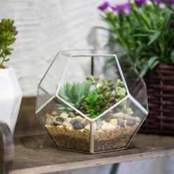 Handmade Silver Black Various Size Pentagon Glass Geometric Terrarium For Succulents Airplants Cacti -Glass Plant Store product image 573663910