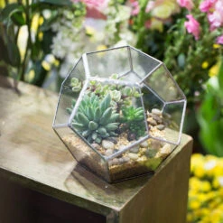 Handmade Silver Black Various Size Pentagon Glass Geometric Terrarium For Succulents Airplants Cacti -Glass Plant Store product image 573663911