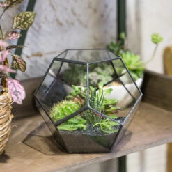 Handmade Silver Black Various Size Pentagon Glass Geometric Terrarium For Succulents Airplants Cacti -Glass Plant Store product image 573663913