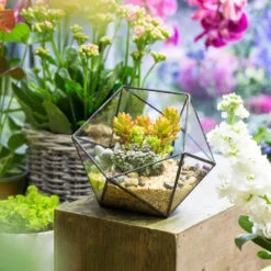 Handmade Bowl Shape Geometric Glass Terrarium For Garden Plants Succulents Moss Airplants -Glass Plant Store product image 575616776