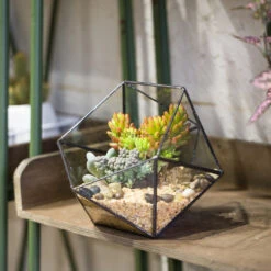 Handmade Bowl Shape Geometric Glass Terrarium For Garden Plants Succulents Moss Airplants -Glass Plant Store product image 575616780