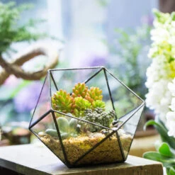 Handmade Bowl Shape Geometric Glass Terrarium For Garden Plants Succulents Moss Airplants -Glass Plant Store product image 575616795