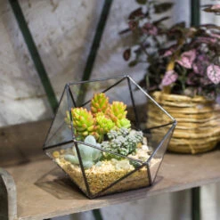 Handmade Bowl Shape Geometric Glass Terrarium For Garden Plants Succulents Moss Airplants -Glass Plant Store product image 575616796