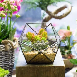 Handmade Bowl Shape Geometric Glass Terrarium For Garden Plants Succulents Moss Airplants -Glass Plant Store product image 575616798