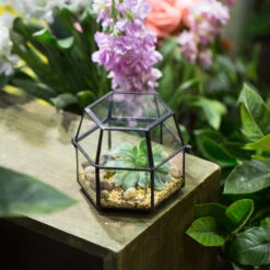 Handmade Small Glass Jewelry Geometric Box Terrarium For Succulents Ring Box 18 Handmade Small Glass Jewelry Geometric Box Terrarium For Succulents Ring Box -Glass Plant Store product image 580459536