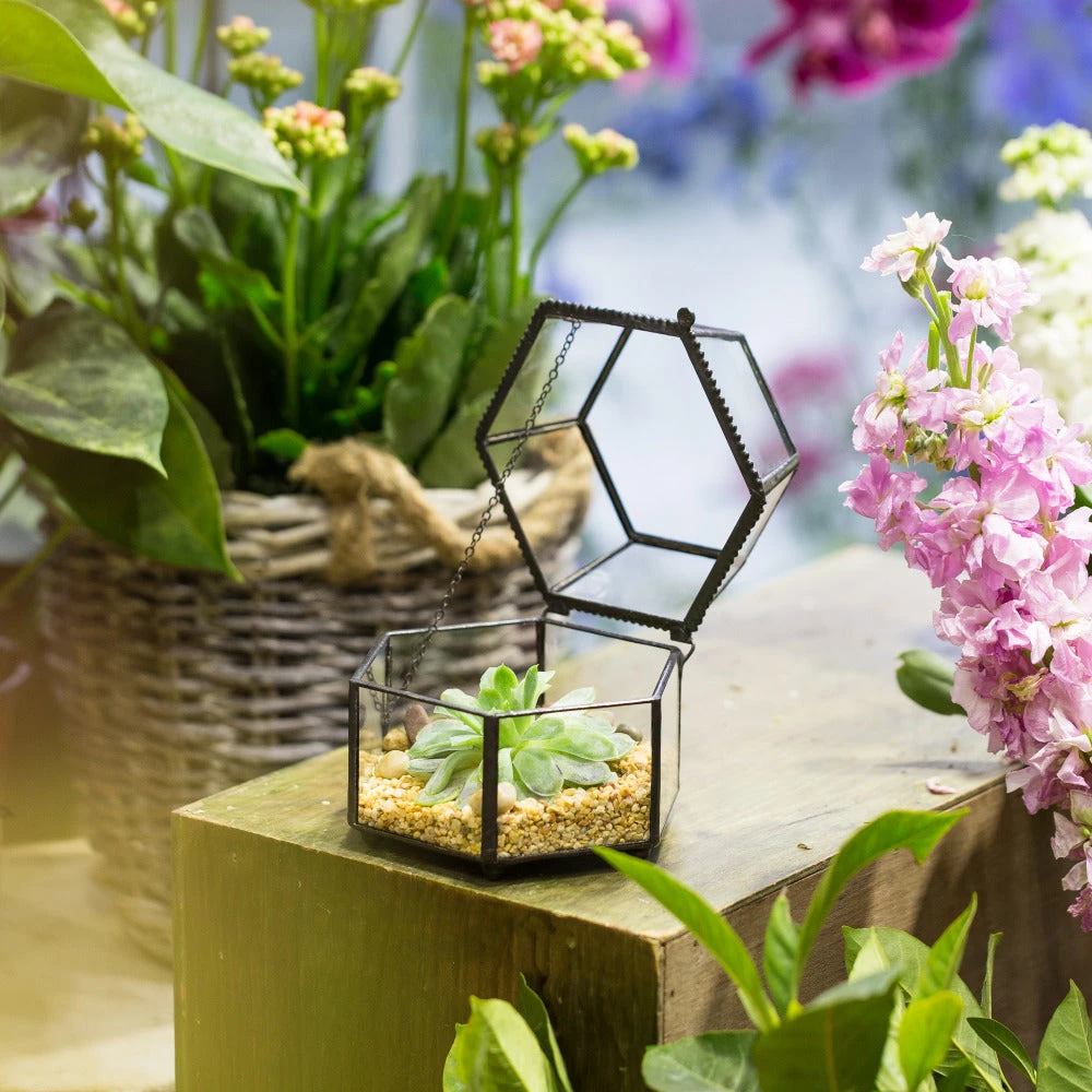 Handmade Small Glass Jewelry Geometric Box Terrarium For Succulents Ring Box 11 Handmade Small Glass Jewelry Geometric Box Terrarium For Succulents Ring Box - Image 11
