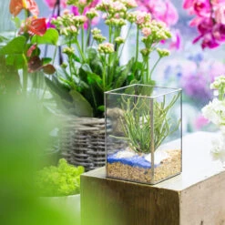 Handmade Silver Long Geometric Glass Terrarium For Succulents Moss Cacti Fern 9 Handmade Silver Long Geometric Glass Terrarium For Succulents Moss Cacti Fern -Glass Plant Store product image 582216040