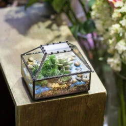 Handmade Small Jewelry Box Geometric Glass Terrarium With Cover For Airplants Succulents Moss Ring -Glass Plant Store product image 587489741